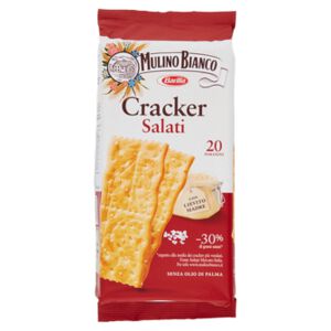 CRACKERS SAIWA PREMIUM 315 GR SALATI CON SALE IN SUPERFICE