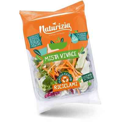 Insalata dell'Orto Carote Julienne 200g